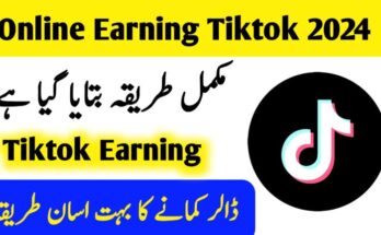 Online Earning From TikTok 2024 - eeww.xyz