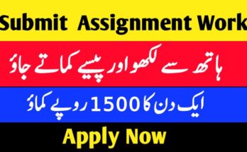 Submit Assignment Earn Money Without Investment 2024 - eeww.xyz